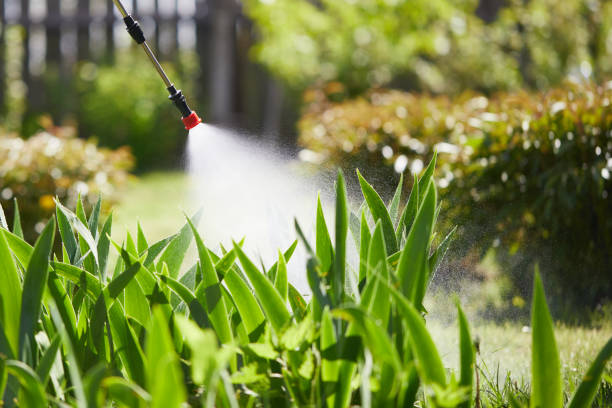 24/7 Emergency Mosquito Control experts in Red Chute, LA