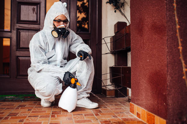 Reliable Mosquito Control contractor in Red Chute, LA by Show Me Pest Control